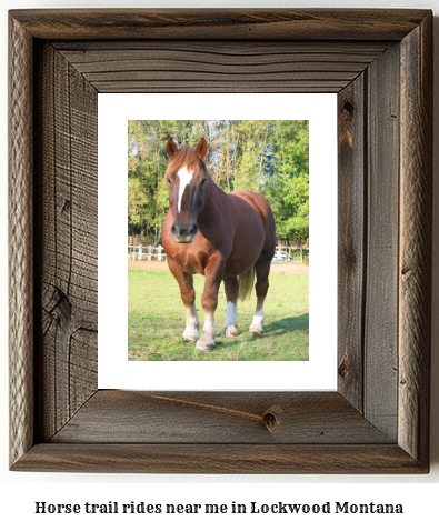 horse trail rides near me in Lockwood, Montana